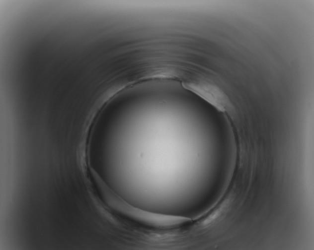 X0000089760850200706281642