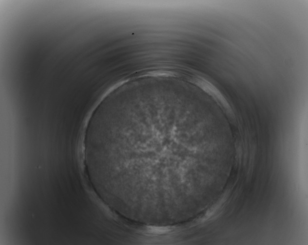 X0000089760852200706281642