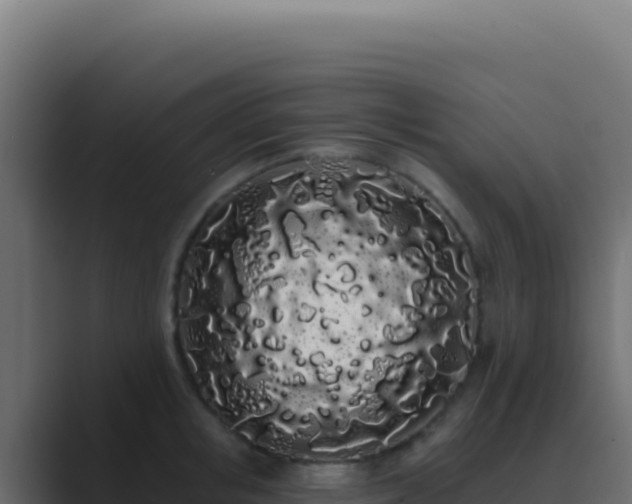 X0000089760853200706281642