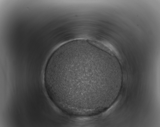X0000089760854200706281642