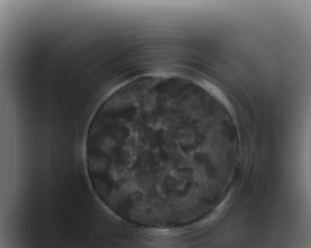 X0000089760855200706281642