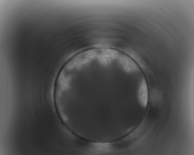 X0000089760856200706281642