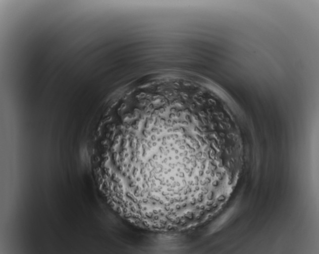 X0000089760857200706281642