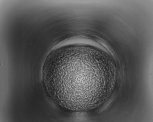 X0000089760858200706281642