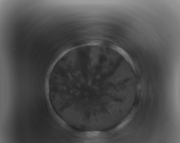 X0000089760859200706281642