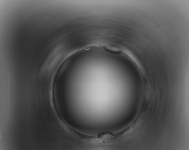 X0000089760861200706281642