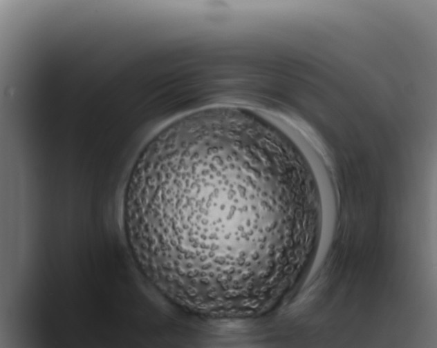 X0000089760862200706281642