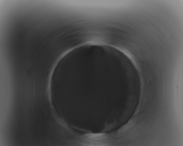 X0000089760864200706281642