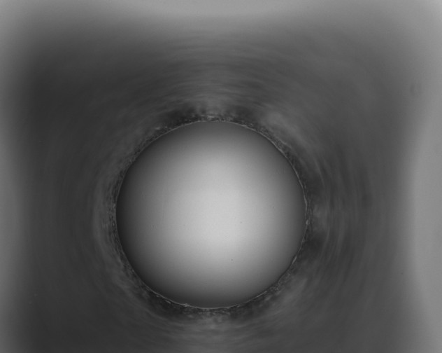X0000089760865200706281642