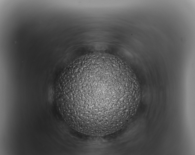 X0000089760866200706281642