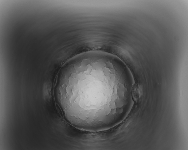 X0000089760867200706281642