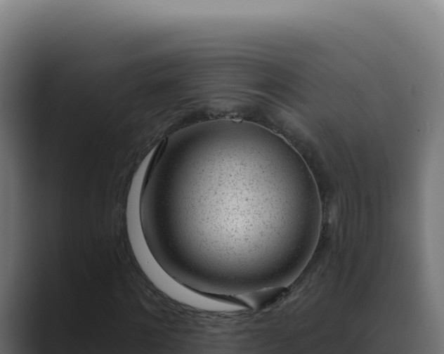 X0000089760868200706281642