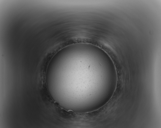 X0000089760870200706281642