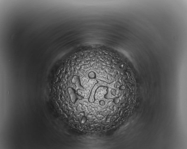 X0000089760871200706281642