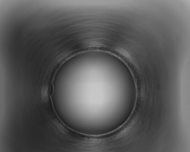 X0000089760873200706281642