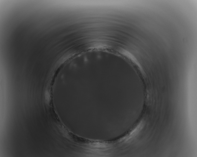 X0000089760874200706281642