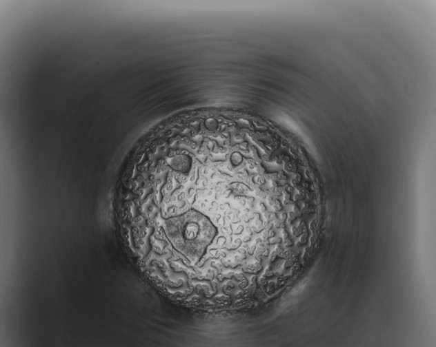 X0000089760875200706281642