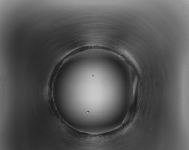 X0000089760876200706281642