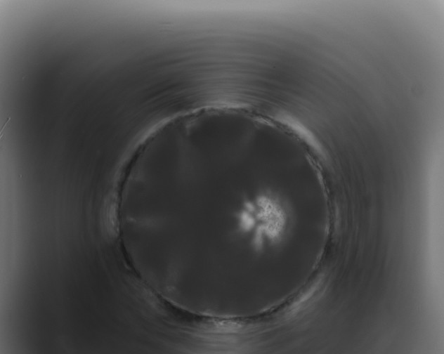 X0000089760878200706281641