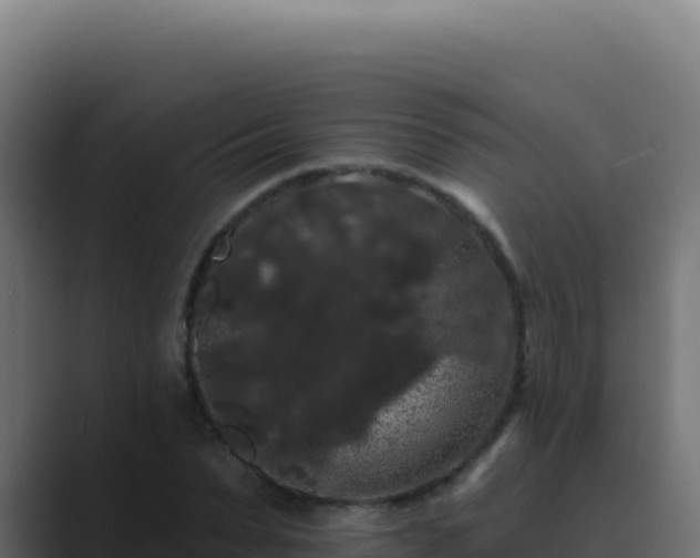 X0000089760879200706281641