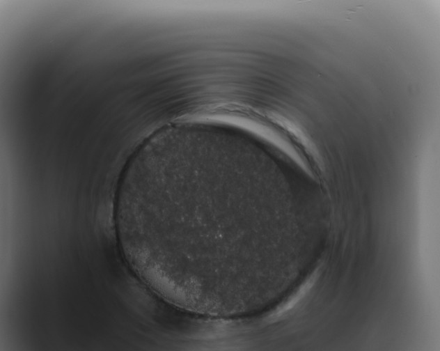X0000089760881200706281641