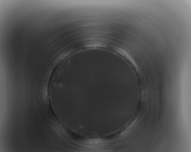 X0000089760882200706281641