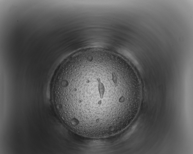 X0000089760883200706281641