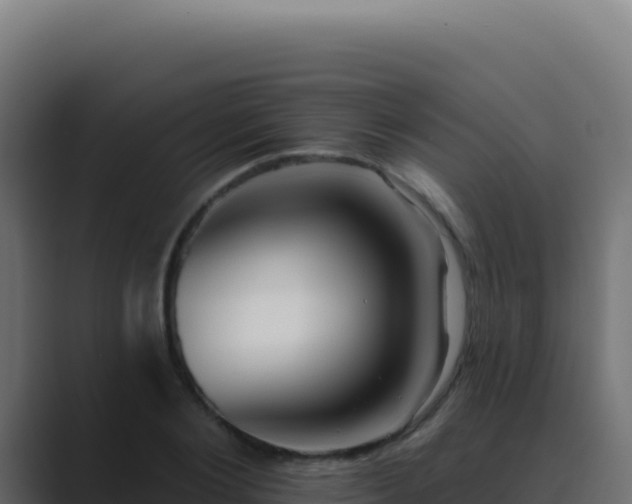 X0000089760884200706281641