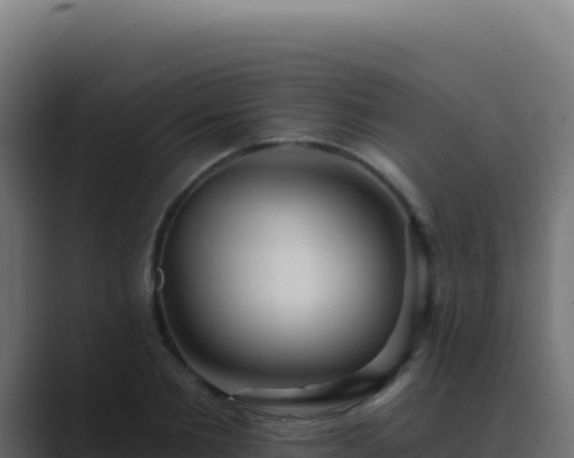 X0000089760885200706281641