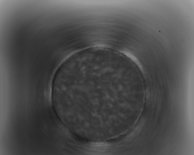 X0000089760886200706281641