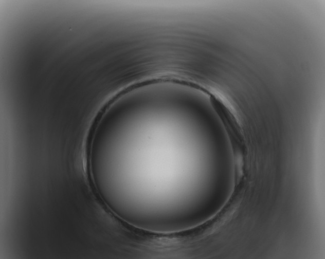 X0000089760888200706281641