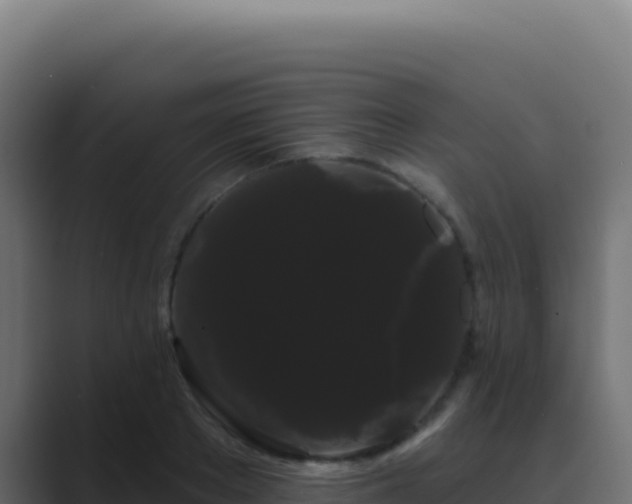 X0000089760889200706281641