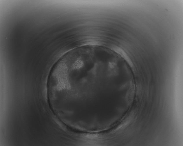 X0000089760890200706281641