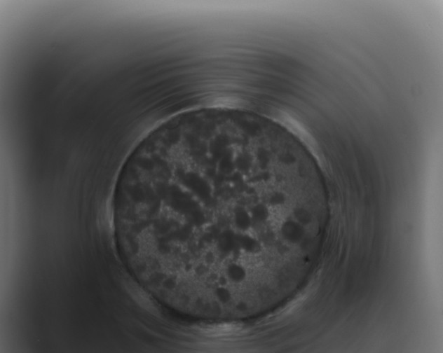 X0000089760891200706281641