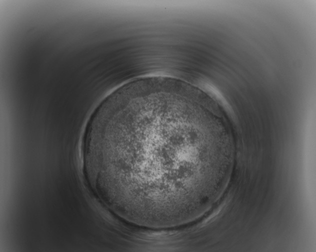X0000089760892200706281641
