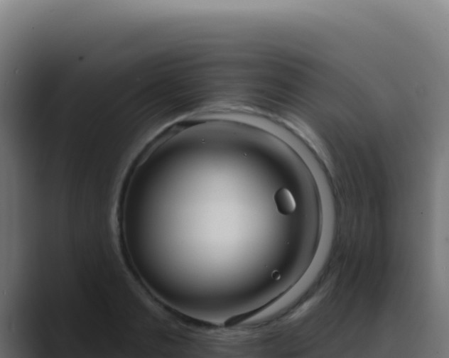 X0000089760893200706281641
