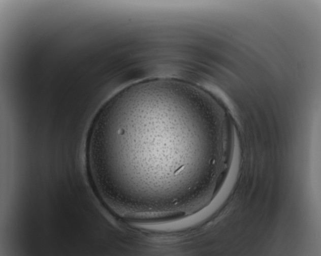 X0000089760894200706281641