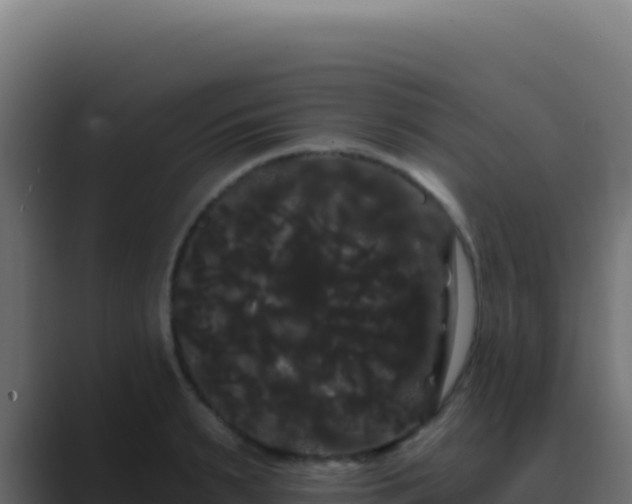 X0000089760895200706281641