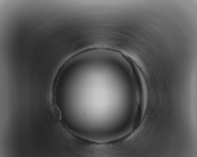 X0000089760896200706281641