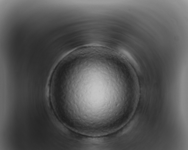 X0000089760900200706281641