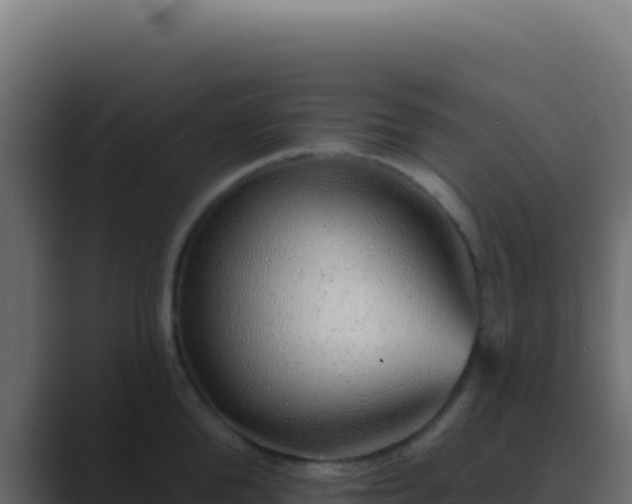 X0000089760904200706281641