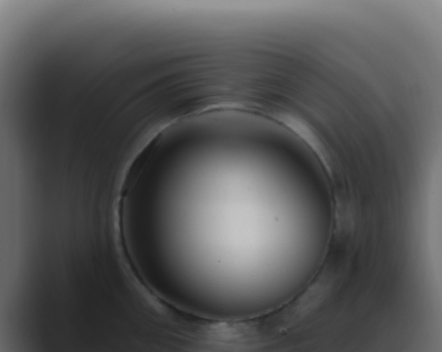 X0000089760906200706281641