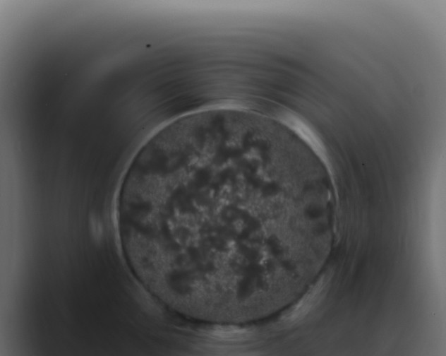 X0000089760907200706281641