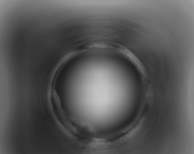 X0000089760909200706281641