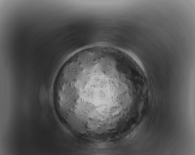 X0000089760911200706281641