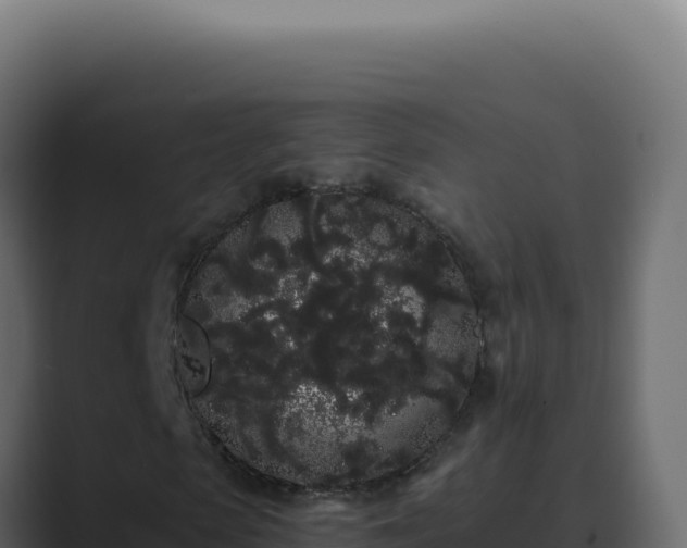 X0000089760913200706281641
