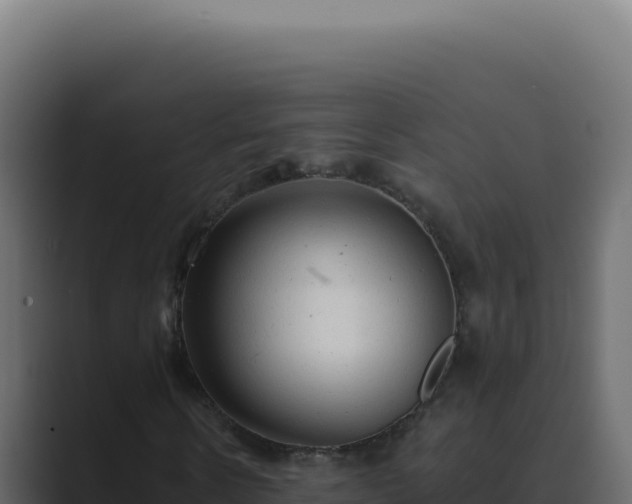 X0000089760914200706281641