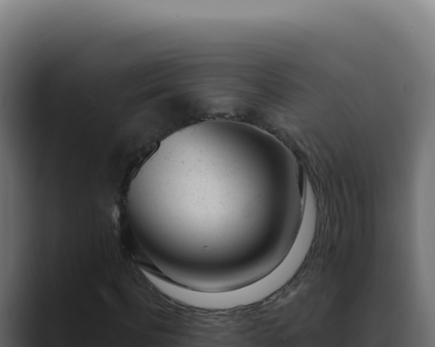 X0000089760916200706281641