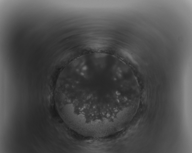 X0000089760917200706281641