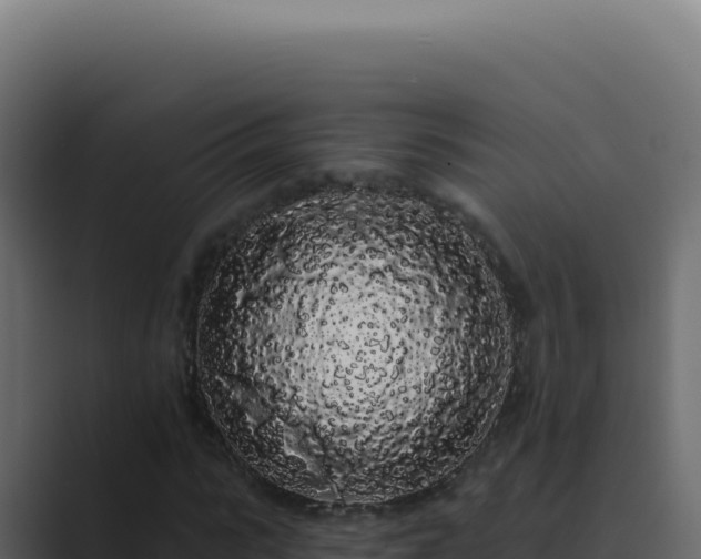 X0000089760919200706281641